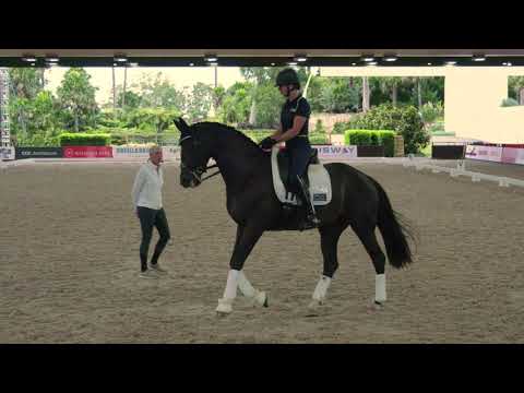 Part 2 of Excellence in Coaching with Mary Hanna and Caroline Wagner riding Penny Hill Park Sophia