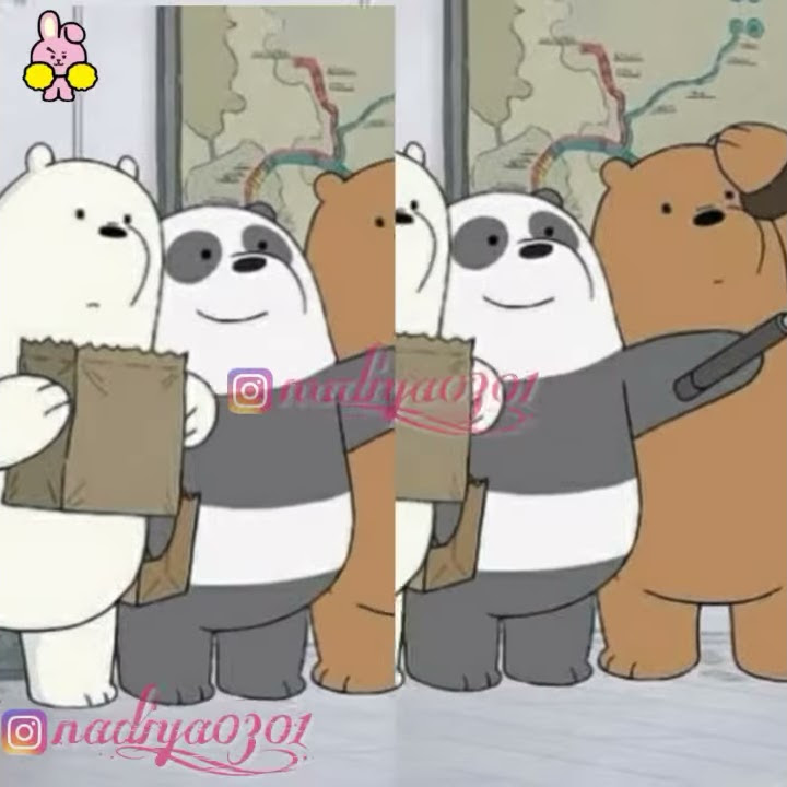 Ccp we bear bears