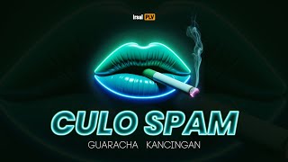 CULO SPAM (Guaracha Kancingan)π Irsal Palevi 2025