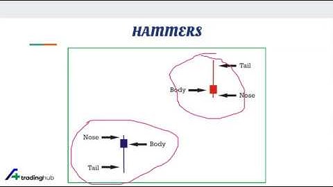 HOW TO EASILY IDENTIFY PIN BAR AND HAMMER CANDLESTICK