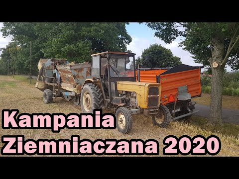 Zaczynamy kampanie ziemniaczaną 2020 | Skrobia | Wstępna wydajność | Ursus C-360 +  Anna Z-644