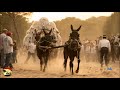 SEVILLANAS ROCIERAS COSITAS DEL ROCIÓ. SEVILLANAS DE CAMINOS POR LA RAYA UNA DE LAS MEJORES OLEEEEEE