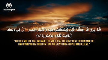 surat alnaml(سورة النمل)❤ saed azwiat(سعد ازويت)