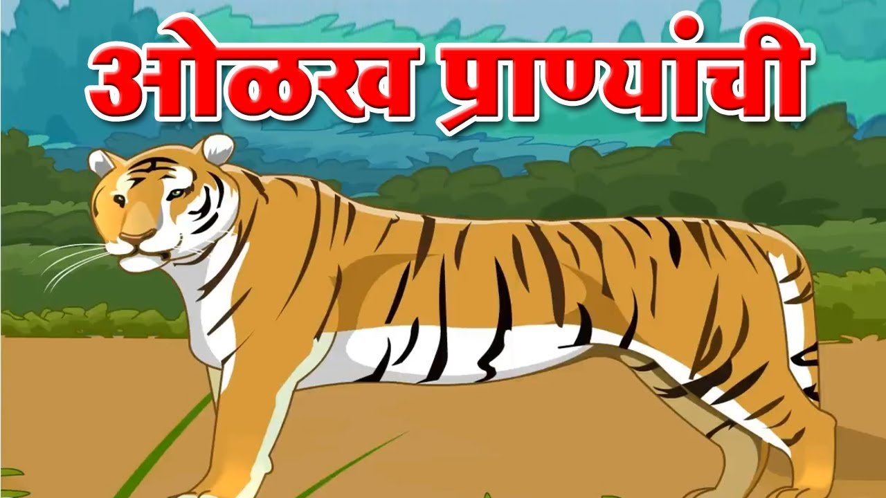 Domestic and Wild Animals | ओळख प्राण्यांची | पाळीव आणि जंगली प्राणी मराठी  | Marathi For Beginners - YouTube
