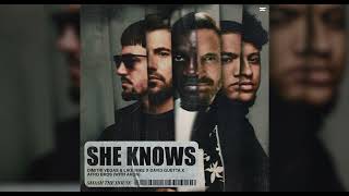 Dimitri Vegas & Like Mike x David Guetta x Afro Bros With Akon - She Knows (Alternative Version) Resimi