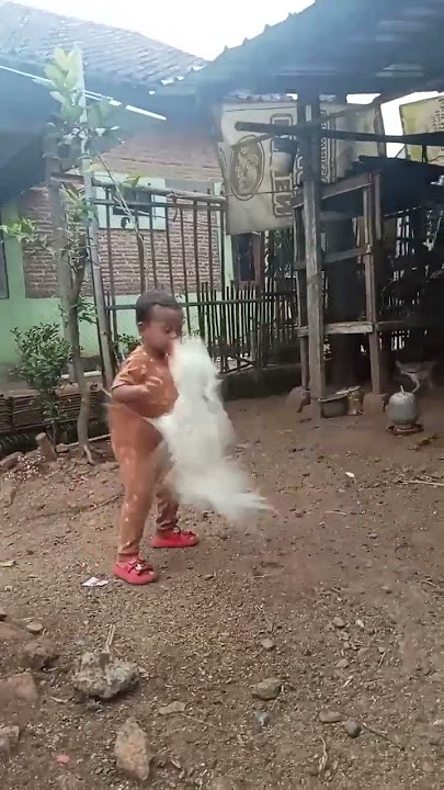 di tladung pitik jago