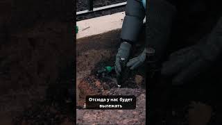 Как работает автополив изнутри💦 #дача #ландшафтныйдизайн #садоводничество #сад #автополив