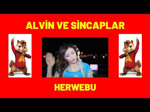 REZAN ŞİRWAN - HERWEBU | ALVİN VE SİNCAPLAR