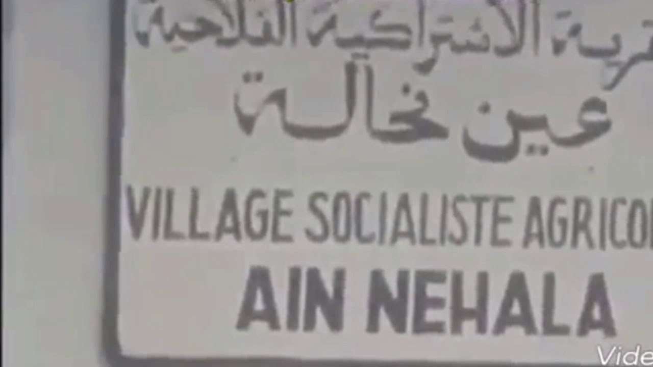 فيديوا نادر للزعيم هواري بومدين أثناء تدشينه قرية عين النحالة
