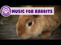 Rabbit Music - Soothing Sleep Music for Bunnies and Rabbits!