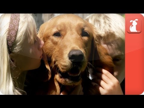 Wideo: Ta usługa Pup Pup Training jest dowodem, nie zasługujemy na psy