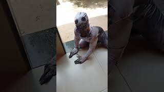halloween costumes happy the rake morphsuit shopping