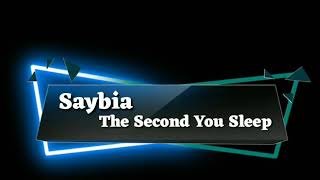 Saybia - the second you sleep (lyrics)