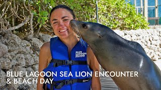 Blue Lagoon Sea Lion Encounter & Beach Day | Shore Excursion | NCL