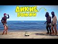 RUST - Дикие БОМЖИ! АТАКУЮТ МОЙ ДОМ! Соло + КАВА - РАСТ