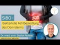 Dr med univ stefan rohrer  bakterielle fehlbesiedlung des dnndarms sibo