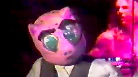 Green Jello - Three Little Pigs (Live)