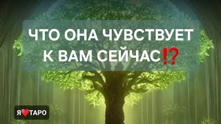 Что она чувствует к вам⁉️ расклад таро для мужчин