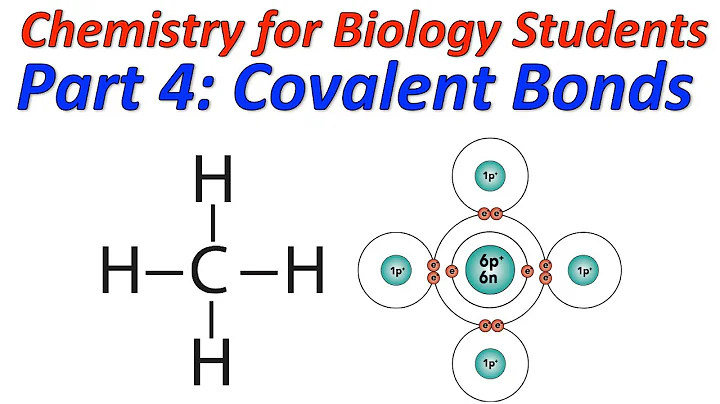 Covalent Bonds Explained: The Chemistry of Life Itself