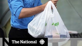 Study supports plan to ban single-use plastics