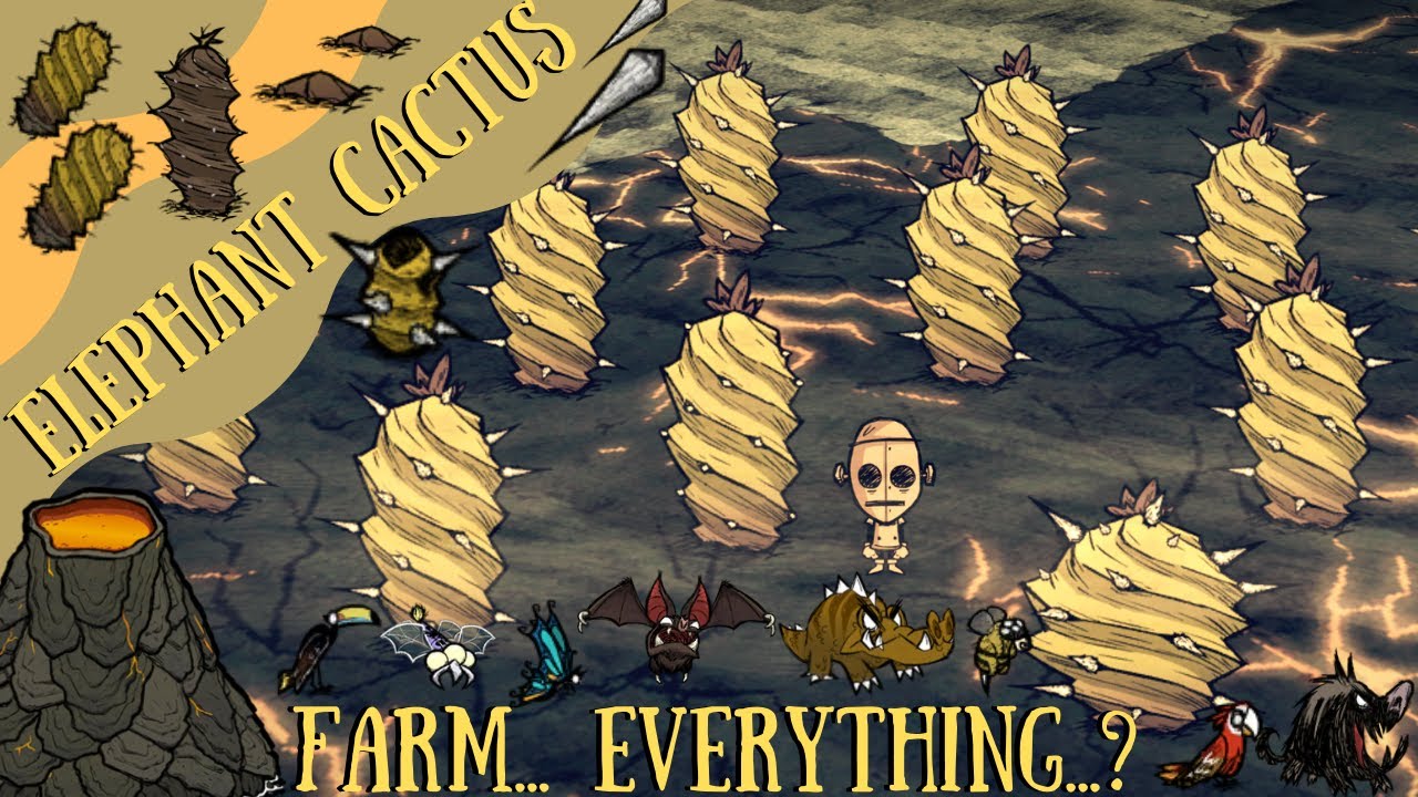 Don't Starve Shipwrecked Guide: Elephant Cactus - Mechanics, Farming Ideas  And More!