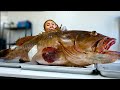 (eng) 생애 한 번 볼까말까한 30kg짜리 물고기를 해체하라!!!!! How To Cut a Huge Sawedged Perch