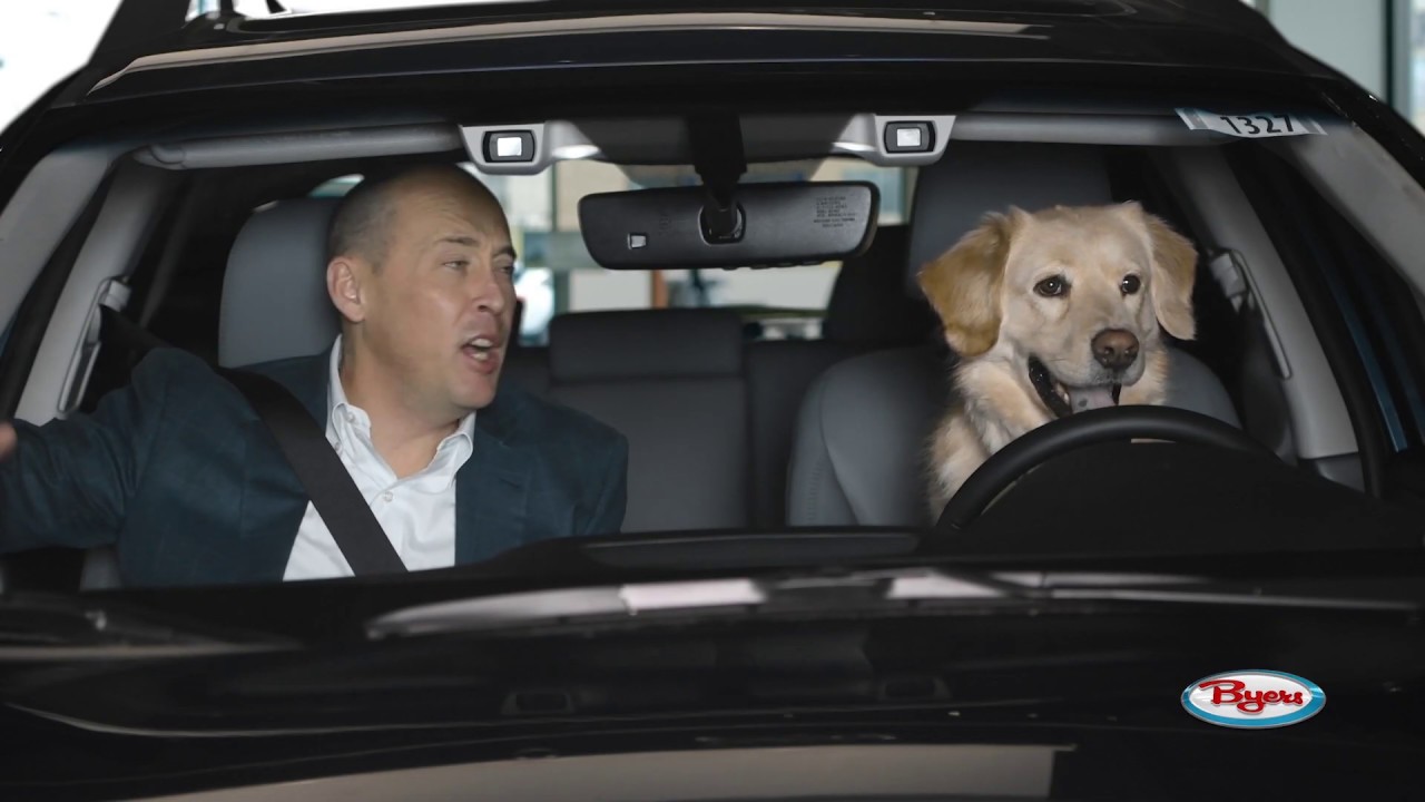 Byers Airport Subaru >> Dog Days Byers Airport Subaru June 2019 Byers Airport Subaru >> Dog Days Byers Airport Subaru June 2019