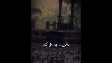 القارئ سيد تقي شكري