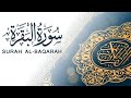 سورة البقرة فضيلة القارئ ريان الريمي أعظم سورة في القرآن أسرارها فضائلها ولماذا تحمي بيتك 
