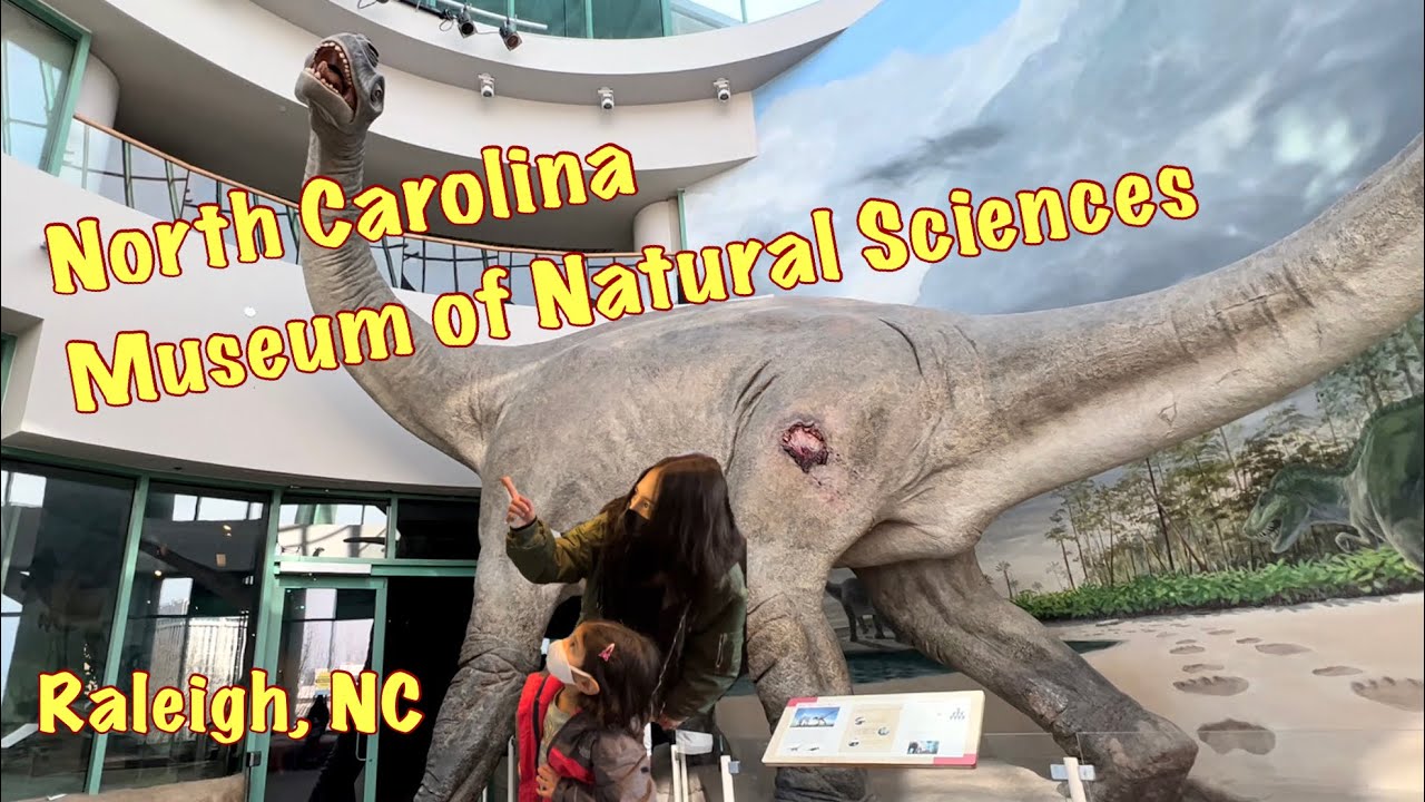 NC Museum of Natural Sciences, Raleigh NC YouTube