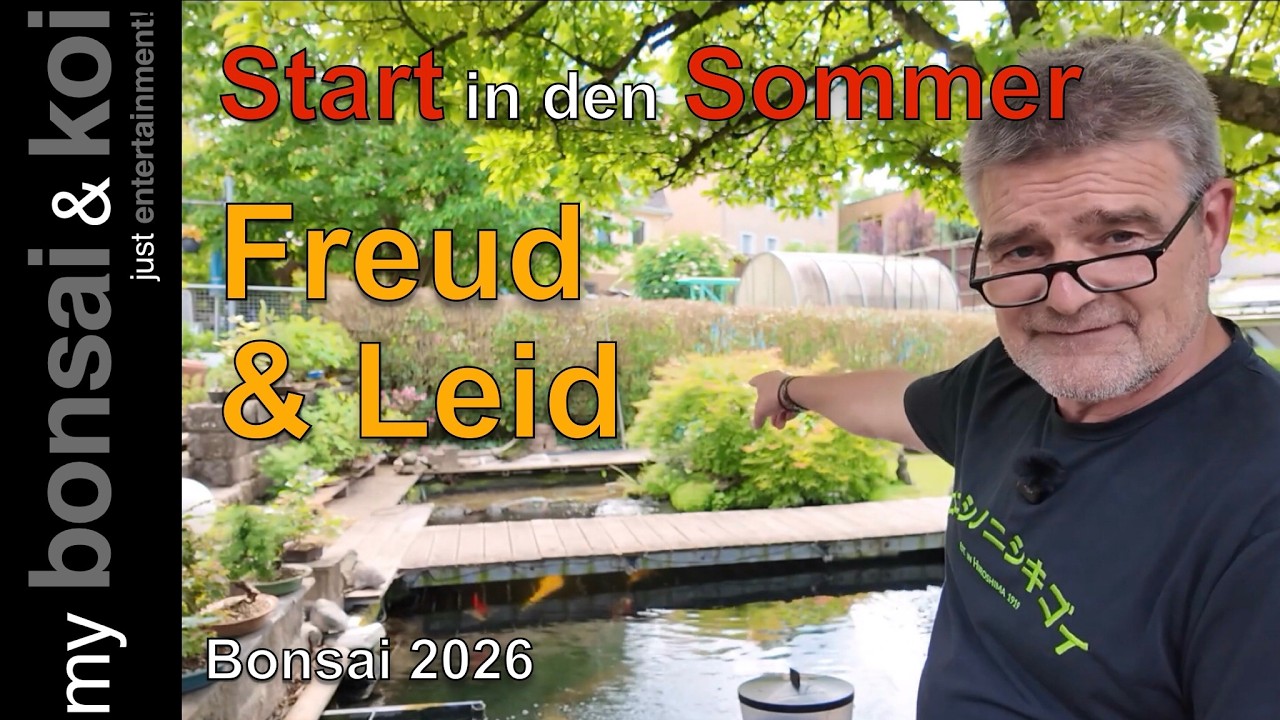 Bonsai 2026-26 - Start in den Sommer! - (viel) Freud und (etwas) Leid! -  #bockaufbonsai