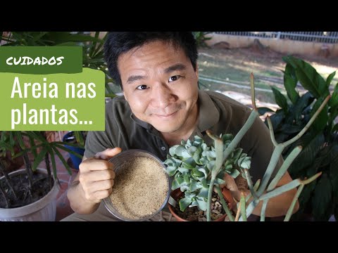 Vídeo: Jardinagem no Ártico: Cultivando Plantas do Círculo Ártico