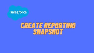Salesforce: Reporting Snapshot Overview screenshot 3