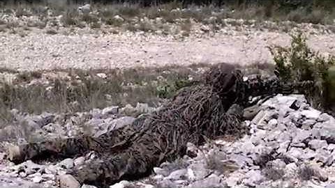 Designated Marksman 1