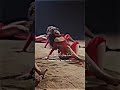 Camila Cabello Shameless Lyrics أغنية كاميلا كابيلو أظهر لي أنك لا تشعر با Camila Cabello Shameless Lyrics أغنية كاميلا كابيلو أظهر لي أنك لا تشعر با