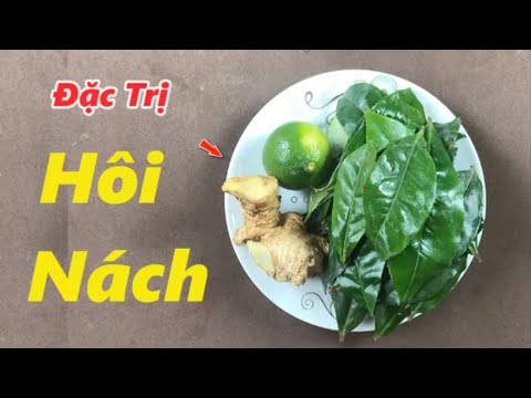 Hôi nách nặng mùi đến mấy cũng khỏi hoàn toàn chỉ sau 1 phút với 1 nắm lá trà xanh