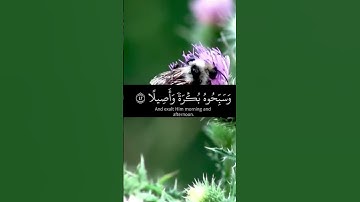 ياسر الدوسري | ماتيسر من سورة الأحزاب 📖 #قراءة_القرآن #سورة_الأحزاب