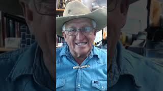 Is It Necessary To Castrate Male Mules?