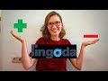 LINGODA Review - мой опыт обучения, все "за" и "против"