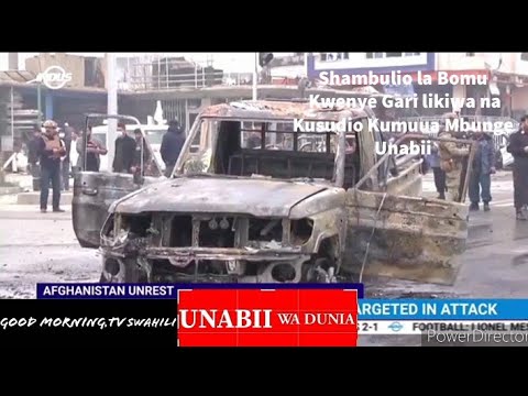 Video: Mbwa zote huenda mbinguni: kanisa la mbwa na mmiliki