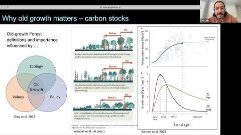 Trees Around the GLOBE Webinar 61 on September 8, 2023