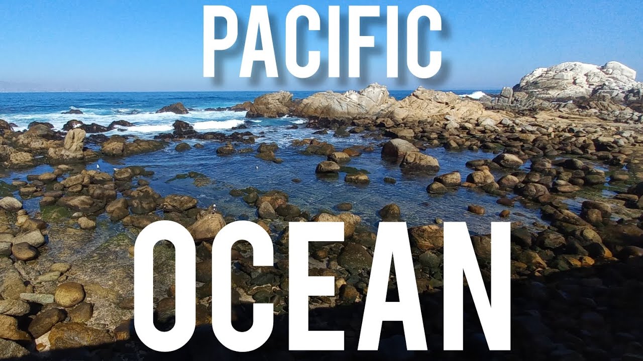🇨🇱 PACIFIC OCEAN, Reñaca, Viña del Mar, Chile - YouTube