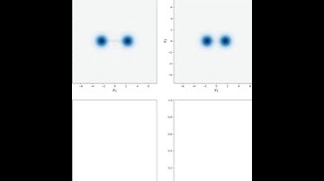 Cat State Oscillation