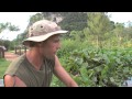 Dean Macey, Snakehead Fishing In Thailand, Gillhams Fishing Resorts.