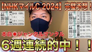 【NHKマイルカップ 2024】当てすぎて春G1完全的中を意識してる馬券師！ by しょうたろさん 111,089 views 3 weeks ago 8 minutes, 3 seconds