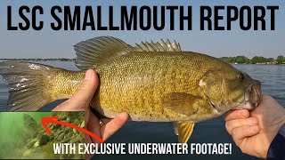 Lake St Clair Smallmouth Bass Fishing Report - With EXCLUSIVE Underwater Footage!