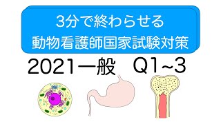 3分で終わらせる動物看護師国家試験対策2021 Q1~3