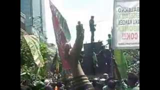 TUNDUK TERTINDAS ATAU BANGKIT MELAWAN