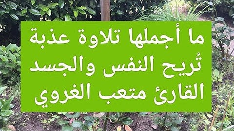 ما أجملها تلاوة عذبة تُريح النفس والجسد  القارئ متعب الغروي