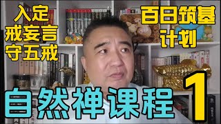 入定、戒妄言、守五戒：自然禅修行的第一步！#翟山鹰 #翟山鹰TalkShow